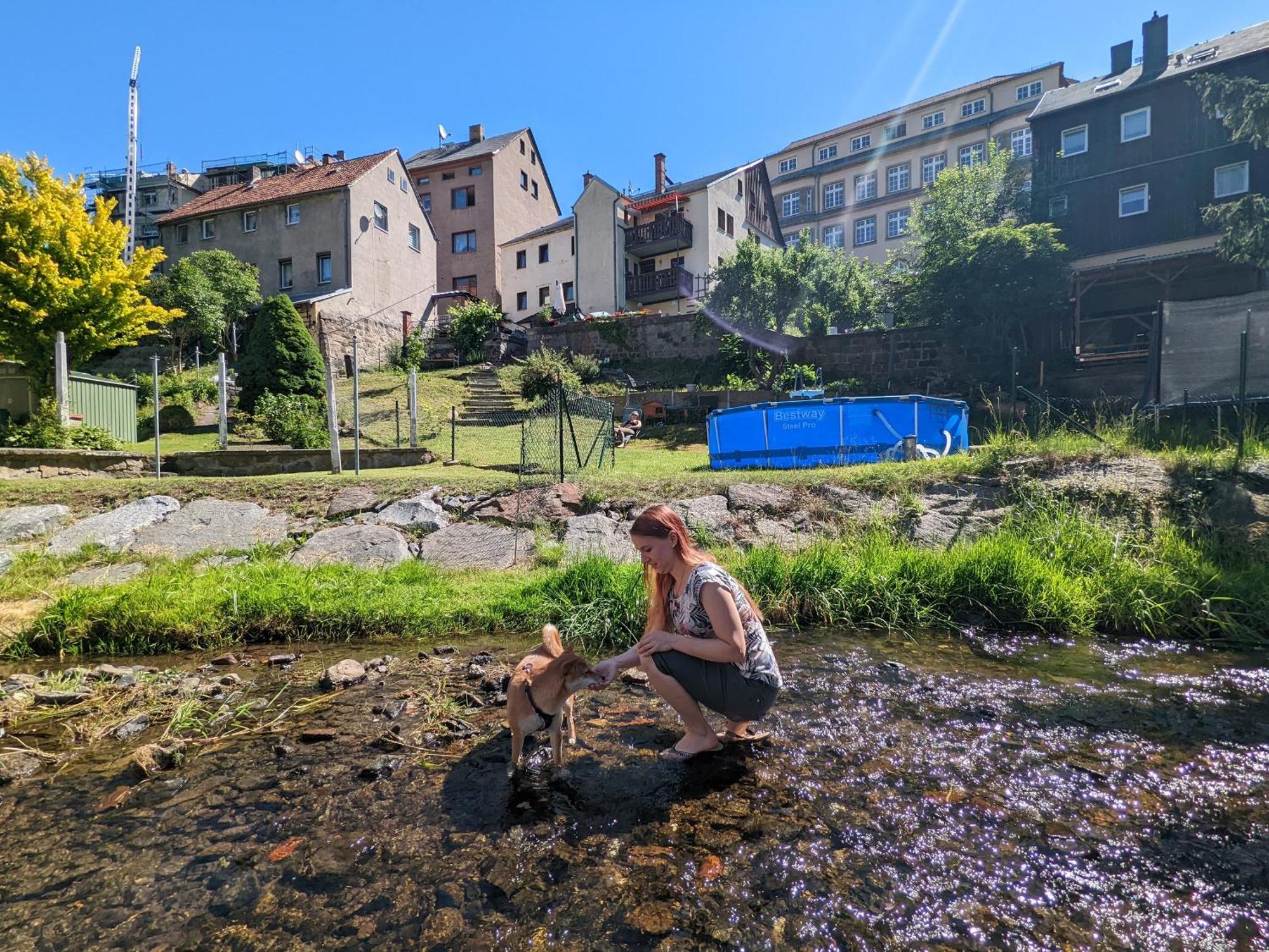 Apartment F1 - Urlaubsmagie - Helle Mit Sauna & Pool & Whirlpool *