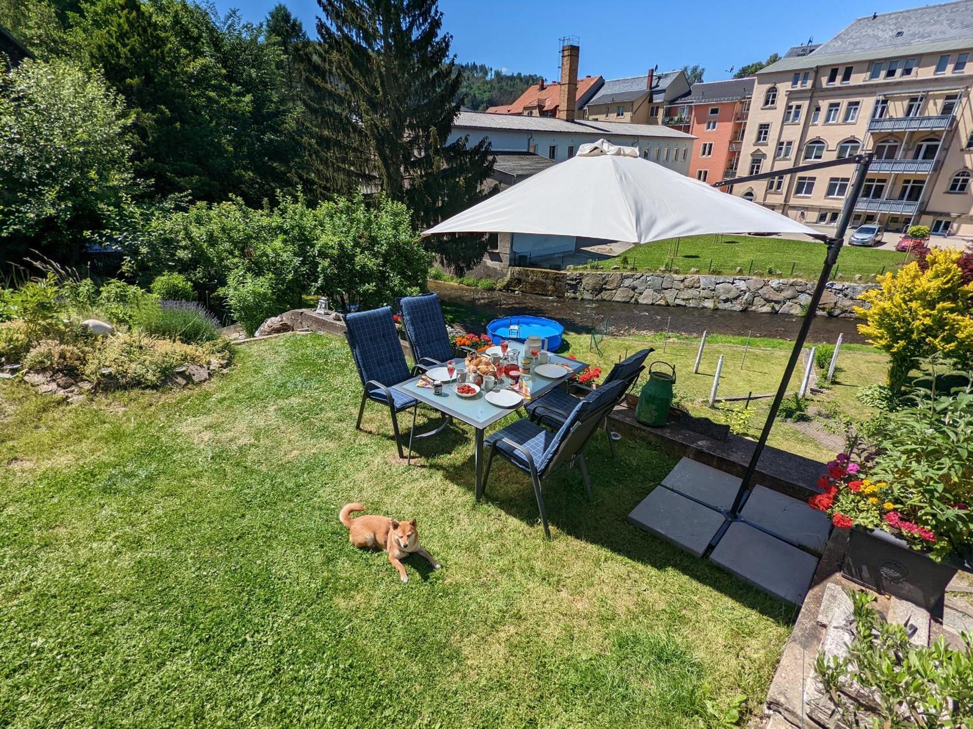 Apartment F1 - Urlaubsmagie - Helle Mit Sauna & Pool & Whirlpool Sebnitz