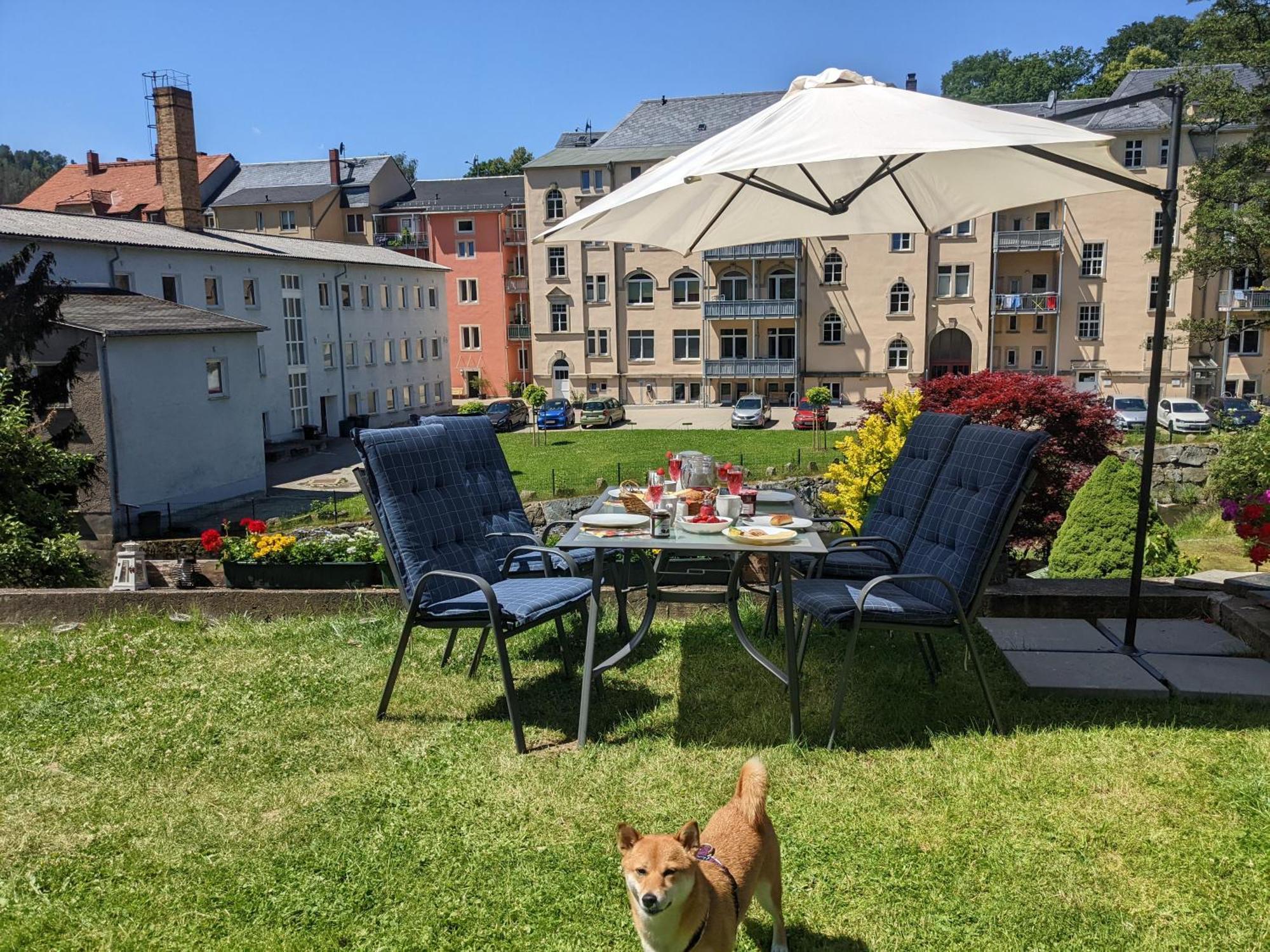 Apartment F1 - Urlaubsmagie - Helle Mit Sauna & Pool & Whirlpool Sebnitz